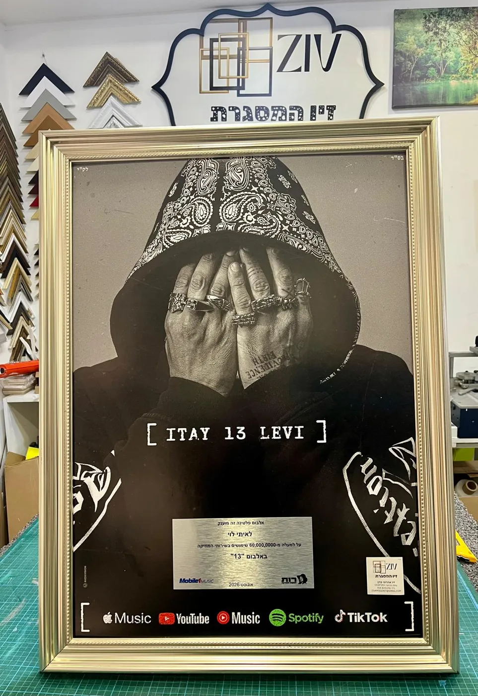 מסגור פרס אלבום פלטינה עם פלאק ולוגואי שירותי הסטרימינג, במסגרת זהב מעוטרת